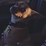 Roscoe Eugene - @roscoe_eugene - Instagram
