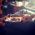 Eugene And Ruby - @eugeneandruby - Instagram