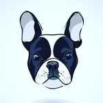 Baloon Decor - @eugene.rush06 - Instagram