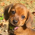 Winston Eugene-Atticus Rush - @winstons_awinner - Instagram