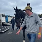 Eugene Ryan - @eugeneryanhorses - Instagram