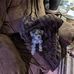 Eugene Sayers - Facebook