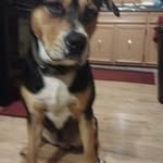 Eugene Scribner - @eugene.scribner - Instagram