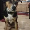 Eugene Scribner - @eugene.scribner - TikTok