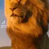 Eugen Seidel - @jonyy065 - TikTok