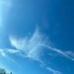 Eugene Sewell Jr. - @jr.eugenesewell - Instagram