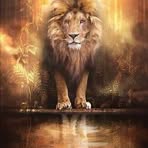 Eugene Shepherd - Facebook