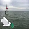 Eugene Silva - @eugenesilva0 - TikTok