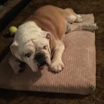 Eugene Teague - @eugene.teague - Instagram