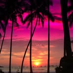 Gene Tilghman - Facebook