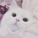 Eugene Ting - @etsj03 - Instagram