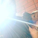 Евгений - @titushineugene - Instagram