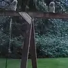 eugenetoddweather - @eugenetoddweather - TikTok