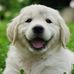 Eugene Tolbert - Facebook