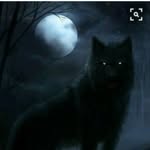 loupsolitaire - @eugene_tracy_lil_black - Instagram