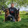 Eugene dog trainer🇨🇦 - @dogboardingandtraining - TikTok