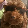 Eugene - @eugene_tran - TikTok