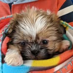Erik Tugg - @erik__eugene_tuggle - Instagram