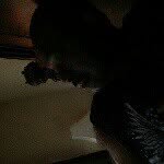 gene tuggle - @eugenetuggle1 - Instagram