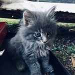 Why you weird all the time - @erik_eugene_tuggle - Instagram