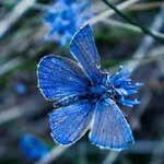 Eugene Upton - @eugeneupton57 - Instagram