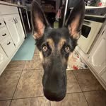 Frank Eugene Upton - @frankeugeneupton - Instagram