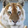 eugenevelez271 - @eugenevelez1 - TikTok