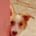Eugene John Fines - Facebook