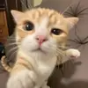 Eugene Virgil - @eugene.virgil1 - TikTok