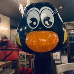 Eugène de vogel 🐧 - @eugenelebird - Instagram