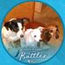 Eugene Waring - Facebook