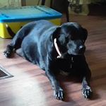 Eugene Webb - @eugenewebb548 - Instagram