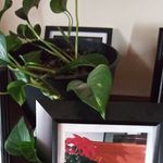Eugene West - @eugene.west.338 - Instagram