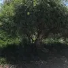 eugenewestbrook30 - @eugenewestbrook30 - TikTok