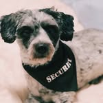 Luna Eugene Whitaker - @luna.e.whitaker - Instagram