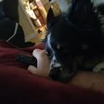 Perry Eugene Whitaker - @whitakerperry - Instagram