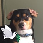 Raymond Eugene Whitney Jr. - @whitneyjr.raymond - Instagram