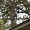 Eugene Williamson - @eugene.williamson0 - TikTok
