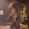 eugenewilliamson123 - @eugenewilliamson123 - TikTok