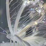 Eugene Willis - @eugene_willis255 - Instagram