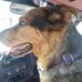 Gene Willis - Facebook