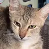 Eugene - @eugeneyap56 - TikTok