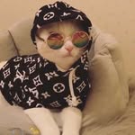 Eugene Yap - @eugeneyapz - Instagram