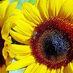 Eugenia Barbero - @eugenia.barbero.52 - Instagram
