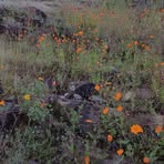 Eugenia Bernal - Facebook