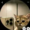 Eugenia Cordero Perez - @eugenia.cordero.p - TikTok