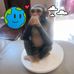 Eugenia Evans - Facebook