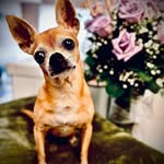 Rita Eugenia Evans - @september281950 - Instagram
