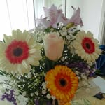 Eugenia Fiore - @eugenia79248 - Instagram