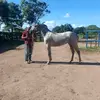 eugenio - @eugenioarias198 - TikTok